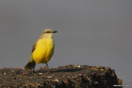 Recorriendo Punta Indio