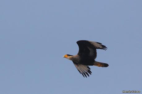 Recorriendo Punta Indio