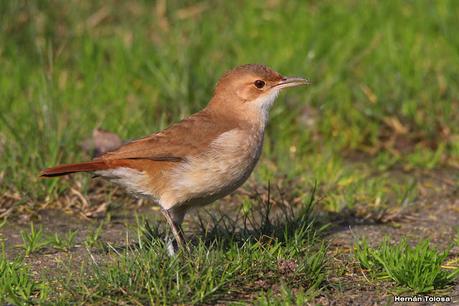 Recorriendo Punta Indio