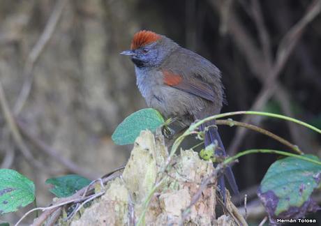 Recorriendo Punta Indio