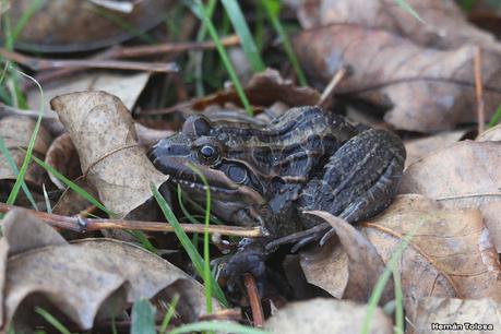 Recorriendo Punta Indio