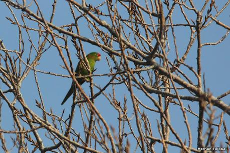Recorriendo Punta Indio