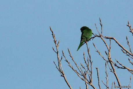 Recorriendo Punta Indio