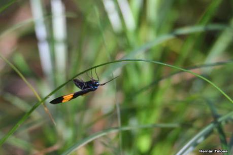 Recorriendo Punta Indio