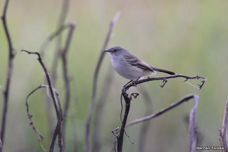 Recorriendo Punta Indio