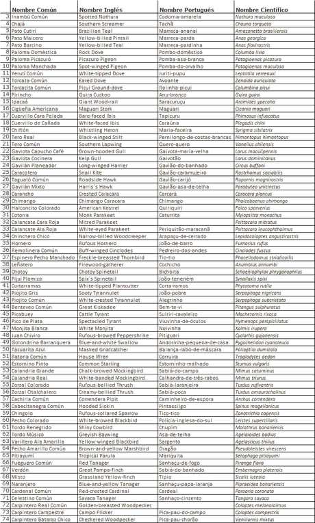 Recorriendo Punta Indio