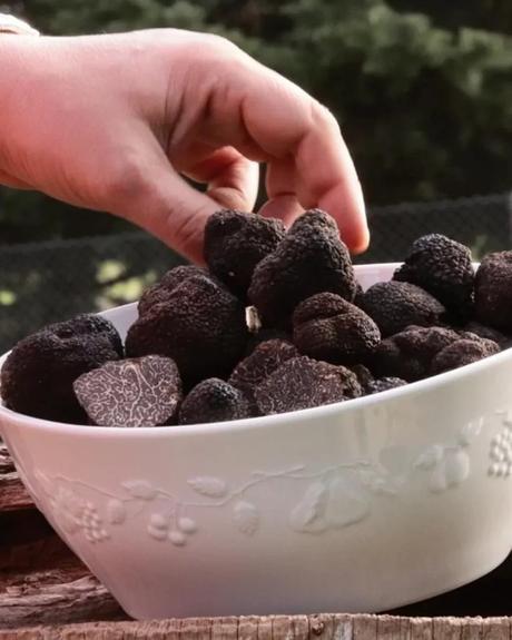 trufas negras argentinas