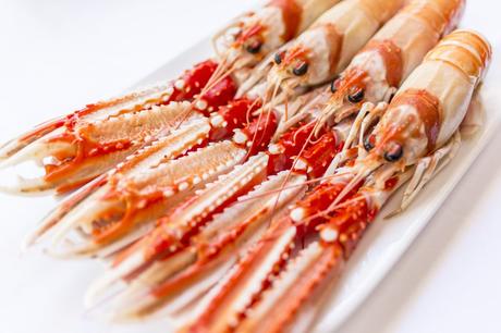 Grupo Oter, un icono de la gastronomía madrileña