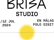 Brisa Studio 2024, programación