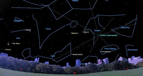 La lluvia de meteoritos de las Perseidas regresa a nuestros cielos este mes, dando inicio a la temporada estival de «estrellas fugaces» Un cielo negro abierto lleno de estrellas sobre un horizonte bajo de árboles urbanos frente a edificios de gran altura que muestran finas líneas azules que conectan las estrellas para mostrar las constelaciones.