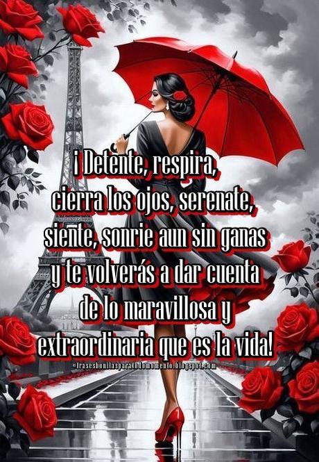 ¡Detente, respira, cierra los ojos, serenate, siente, sonrie aun sin ganas y te volverás a dar cuenta de lo maravillosa y extraordinaria que es la vida!