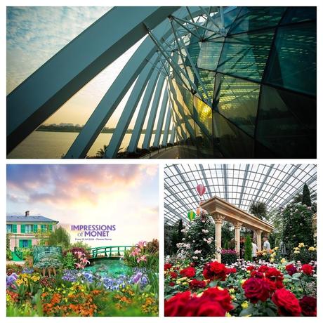 Donde la Maravilla Florece: Los Jardines que Cambiaron Singapur 3