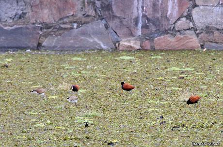 Visita a la RECS en otoño (MAYO 2024)