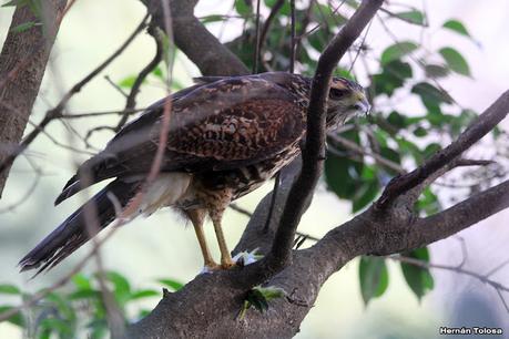 Visita a la RECS en otoño (MAYO 2024)