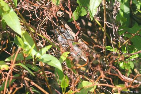 Visita a la RECS en otoño (MAYO 2024)