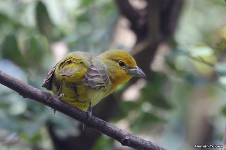 Visita a la RECS en otoño (MAYO 2024)