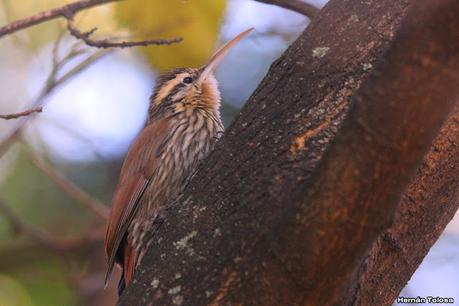 Visita a la RECS en otoño (MAYO 2024)