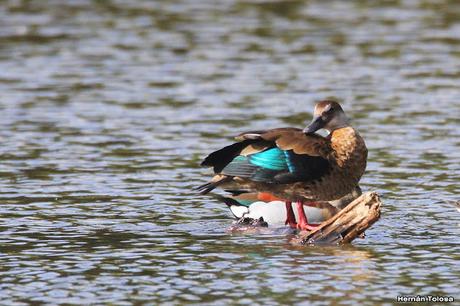 Visita a la RECS en otoño (MAYO 2024)