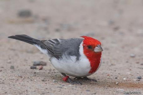 Visita a la RECS en otoño (MAYO 2024)