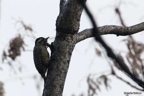 Visita a la RECS en otoño (MAYO 2024)