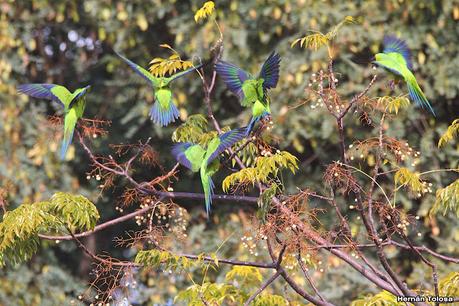 Visita a la RECS en otoño (MAYO 2024)