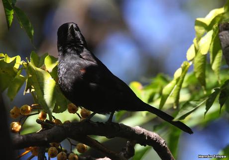 Visita a la RECS en otoño (MAYO 2024)