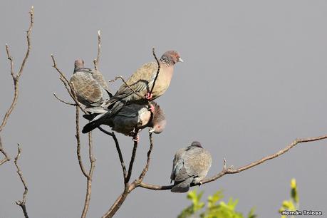 Visita a la RECS en otoño (MAYO 2024)