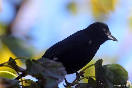 Visita a la RECS en otoño (MAYO 2024)
