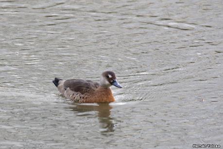 Visita a la RECS en otoño (MAYO 2024)