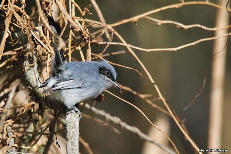 Visita a la RECS en otoño (MAYO 2024)