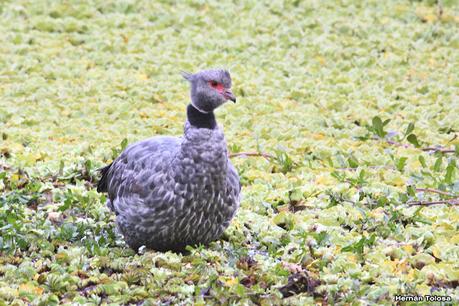 Visita a la RECS en otoño (MAYO 2024)