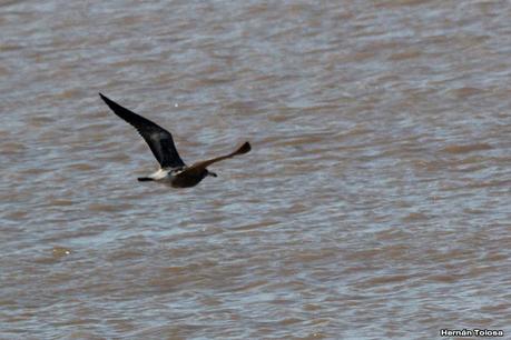 Visita a la RECS en otoño (MAYO 2024)
