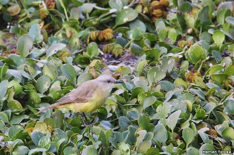 Visita a la RECS en otoño (MAYO 2024)