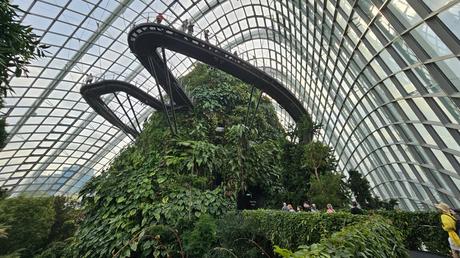 Singapur: La gestión urbana detrás del país que vive en el 2050