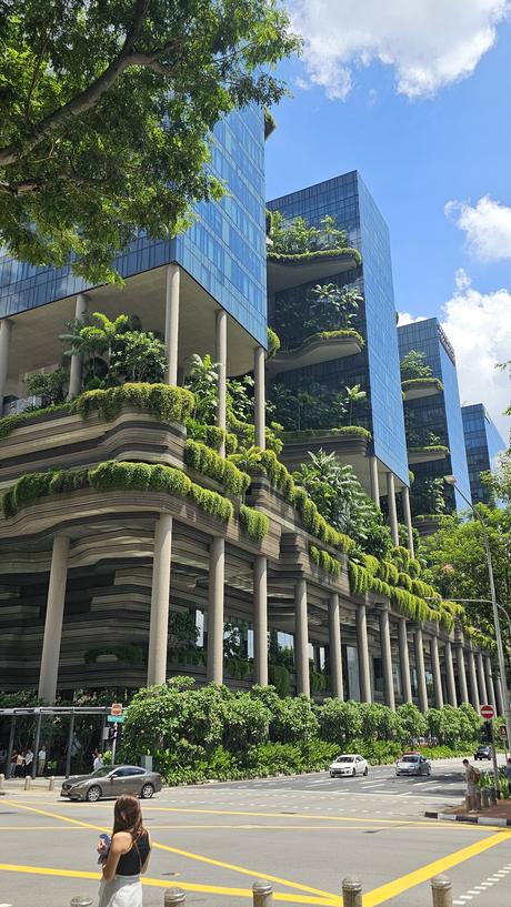 Singapur: La gestión urbana detrás del país que vive en el 2050