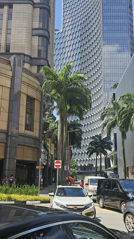 Singapur: La gestión urbana detrás del país que vive en el 2050