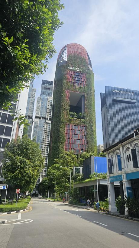 Singapur: La gestión urbana detrás del país que vive en el 2050