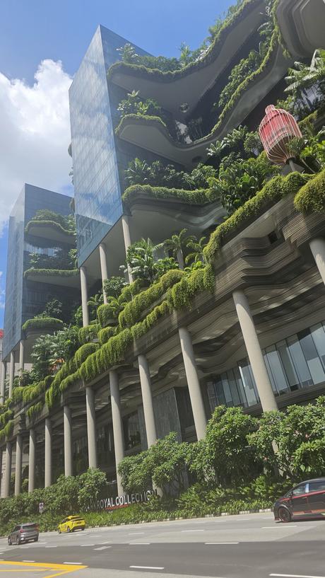 Singapur: La gestión urbana detrás del país que vive en el 2050