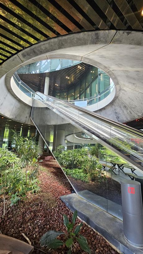 Singapur: La gestión urbana detrás del país que vive en el 2050