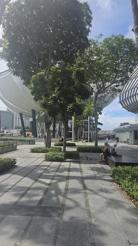 Singapur: La gestión urbana detrás del país que vive en el 2050