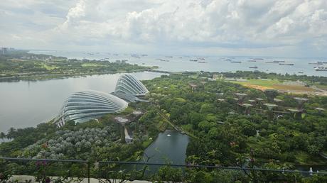 Singapur: La gestión urbana detrás del país que vive en el 2050