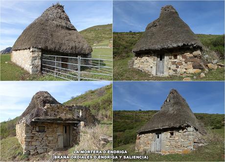 Por las Brañas de Arbeyales, Éndriga y Saliencia