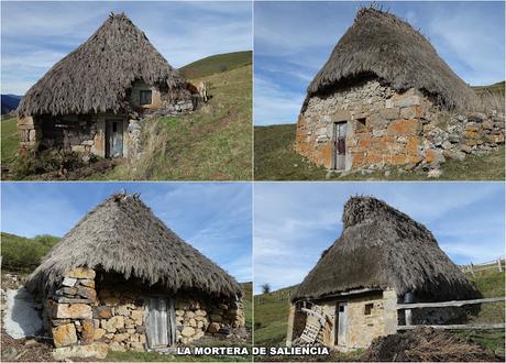 Por las Brañas de Arbeyales, Éndriga y Saliencia