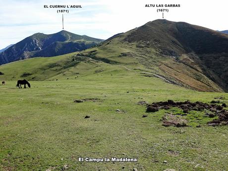 Por las Brañas de Arbeyales, Éndriga y Saliencia