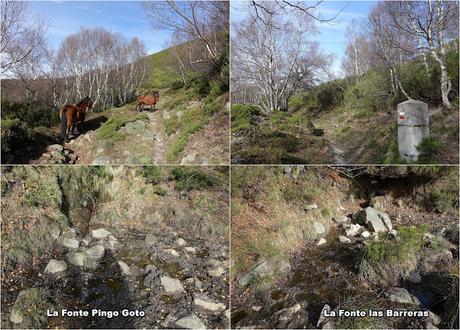 Por las Brañas de Arbeyales, Éndriga y Saliencia