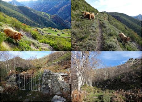Por las Brañas de Arbeyales, Éndriga y Saliencia
