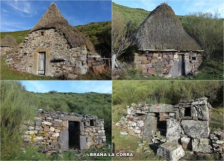 Por las Brañas de Arbeyales, Éndriga y Saliencia