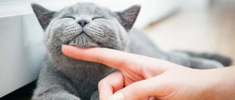 personas inteligentes