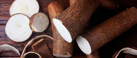 Yuca en Sucre, seran compradas cinco mil toneladas.