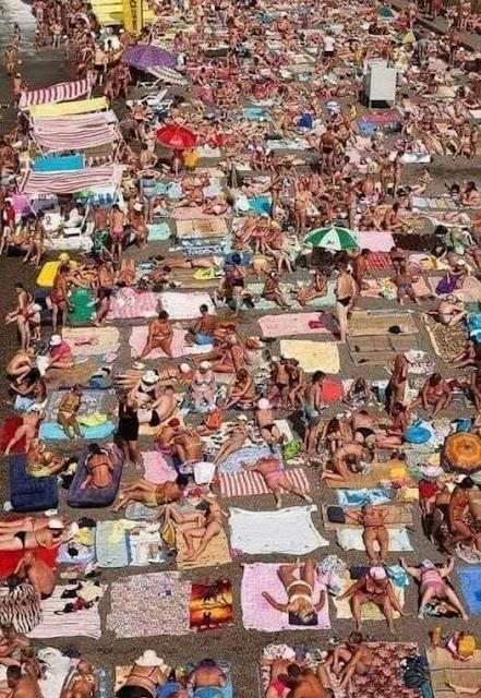 ¡Vive la France!  El triunfo de la izquierda en las elecciones.